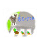 チワワのみるくシリーズ季節もの付き（個別スタンプ：33）
