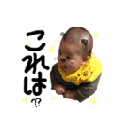 wakkunstamp（個別スタンプ：15）