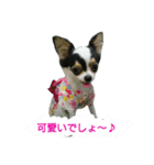 チョ（個別スタンプ：3）