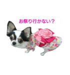 チョ（個別スタンプ：4）