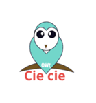 owl design（個別スタンプ：1）