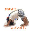きいとスタンプ（個別スタンプ：10）