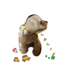 チョコ チョコ（個別スタンプ：3）