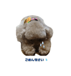 チョコ チョコ（個別スタンプ：7）