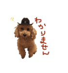 ハッピー シフォンくん（個別スタンプ：14）