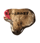 ワカメだよ（個別スタンプ：4）