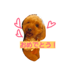 ワカメだよ（個別スタンプ：7）