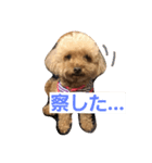 ワカメだよ（個別スタンプ：8）