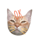 Meaw Siam（個別スタンプ：14）