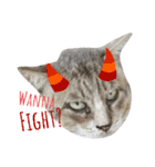 Meaw Siam（個別スタンプ：16）