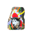 ハスキーのアズタロウとノエルです★（個別スタンプ：3）