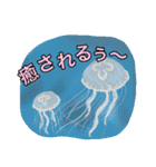 ほのぼの海の仲間たち（個別スタンプ：32）