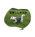 小太郎と遊ぼう（個別スタンプ：11）