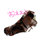bunchapin..（個別スタンプ：1）
