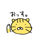 necoco the cat（個別スタンプ：4）