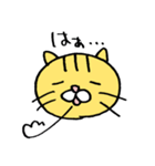 necoco the cat（個別スタンプ：18）