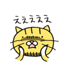 necoco the cat（個別スタンプ：28）