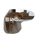 レーヴちゃん（個別スタンプ：2）