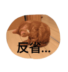 レーヴちゃん（個別スタンプ：4）