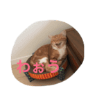 レーヴちゃん（個別スタンプ：7）