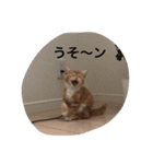 レーヴちゃん（個別スタンプ：14）