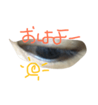目でわかる（個別スタンプ：3）