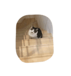 タロらんど（個別スタンプ：6）