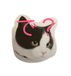 ニャーこのつぶやき（個別スタンプ：1）