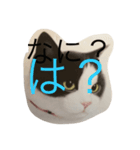ニャーこのつぶやき（個別スタンプ：2）