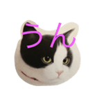 ニャーこのつぶやき（個別スタンプ：4）