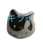 ニャーこのつぶやき（個別スタンプ：10）