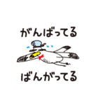 ぼっちカモメのジョンさんスタンプ。（個別スタンプ：10）