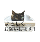 愛すべき家族達2（個別スタンプ：1）
