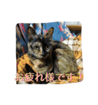 愛すべき家族達2（個別スタンプ：3）