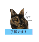 愛すべき家族達2（個別スタンプ：4）