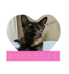 愛すべき家族達2（個別スタンプ：5）