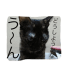 愛すべき家族達2（個別スタンプ：7）