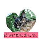 愛すべき家族達2（個別スタンプ：11）