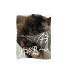 愛すべき家族達2（個別スタンプ：14）