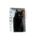 愛すべき家族達2（個別スタンプ：17）