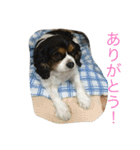 愛すべき家族達2（個別スタンプ：18）