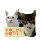愛すべき家族達2（個別スタンプ：20）
