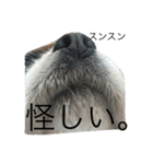 愛すべき家族達2（個別スタンプ：24）