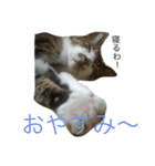 愛すべき家族達2（個別スタンプ：28）