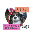 愛すべき家族達2（個別スタンプ：30）