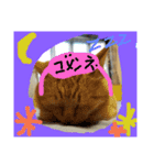 kuro＆ki（個別スタンプ：4）