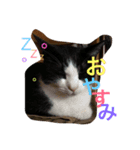 まきだりんたろう（個別スタンプ：1）