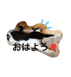 まきだりんたろう（個別スタンプ：2）