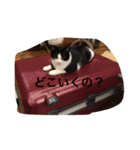 まきだりんたろう（個別スタンプ：4）