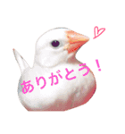 Kファミリー..（個別スタンプ：16）